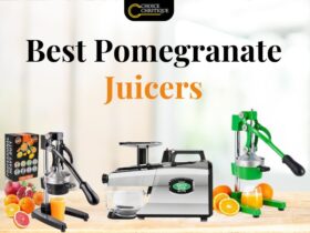 Best Pomegranate Juicers